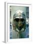 Anglo-Saxon Helmet and Mask from the Sutton Hoo Treasure, 7th Century-null-Framed Photographic Print