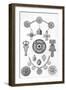 'Anglo-Saxon Relics. Personal Ornaments of Gold and Bronze', 1886-Robert Anderson-Framed Giclee Print