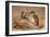 Angola Vulture (Gypohierax Angolensis), 1856-67-Joseph Wolf-Framed Giclee Print