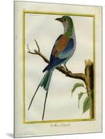 Angolan Roller-Georges-Louis Buffon-Mounted Giclee Print