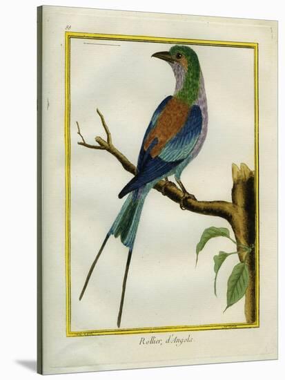 Angolan Roller-Georges-Louis Buffon-Stretched Canvas