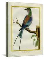 Angolan Roller-Georges-Louis Buffon-Stretched Canvas