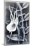 Angraecum, 1948-Isabel Alexander-Mounted Giclee Print