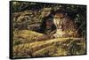 Angry Leopard-Michael Jackson-Framed Stretched Canvas