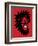 Angry Lion-Steven Wilson-Framed Giclee Print