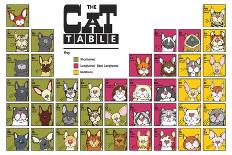 The Cat Table-Angry Squirrel Studio-Stretched Canvas