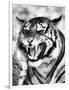 Angry Tiger Face-Snap2Art-Framed Art Print