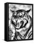 Angry Tiger Face-Snap2Art-Framed Stretched Canvas