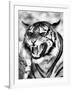 Angry Tiger Face-Snap2Art-Framed Art Print