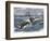 Angry Whale Chasing a Harpoon Boat-null-Framed Giclee Print