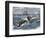 Angry Whale Chasing a Harpoon Boat-null-Framed Giclee Print