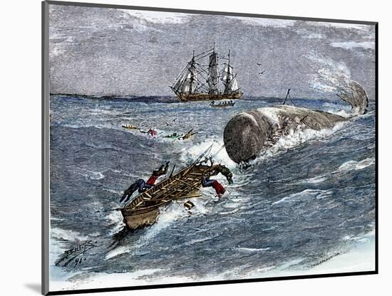 Angry Whale Chasing a Harpoon Boat-null-Mounted Giclee Print