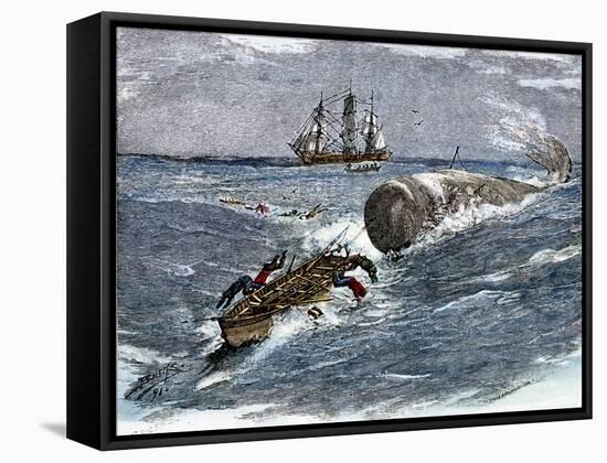 Angry Whale Chasing a Harpoon Boat-null-Framed Stretched Canvas