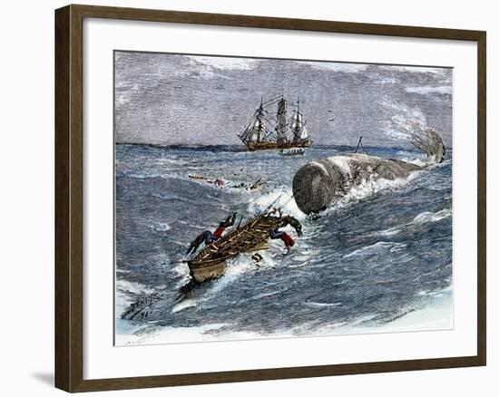 Angry Whale Chasing a Harpoon Boat-null-Framed Giclee Print