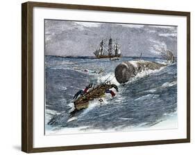 Angry Whale Chasing a Harpoon Boat-null-Framed Giclee Print