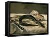 Anguille et rouget-Eel and mullet, 1864 Canvas, 38 x 46,5 cm R. F.1951-9.-Edouard Manet-Framed Stretched Canvas