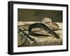 Anguille et rouget-Eel and mullet, 1864 Canvas, 38 x 46,5 cm R. F.1951-9.-Edouard Manet-Framed Giclee Print