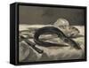 Anguille et rouget-Edouard Manet-Framed Stretched Canvas