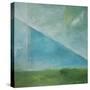 Angular Landscape-Tim Nyberg-Stretched Canvas