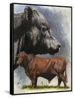 Angus Cattle-Barbara Keith-Framed Stretched Canvas