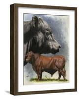 Angus Cattle-Barbara Keith-Framed Giclee Print