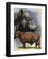 Angus Cattle-Barbara Keith-Framed Giclee Print