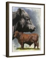 Angus Cattle-Barbara Keith-Framed Giclee Print