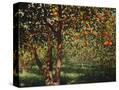Stretched Canvas