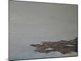 Wood Mount