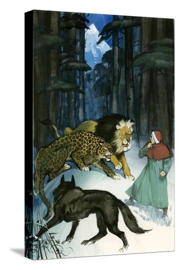 Stretched Canvas Print, , large