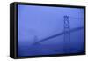 Angus Mcdonald Bridge in Nova Scotia-Paul Souders-Framed Stretched Canvas