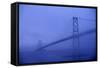 Angus Mcdonald Bridge in Nova Scotia-Paul Souders-Framed Stretched Canvas