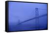 Angus Mcdonald Bridge in Nova Scotia-Paul Souders-Framed Stretched Canvas