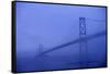 Angus Mcdonald Bridge in Nova Scotia-Paul Souders-Framed Stretched Canvas