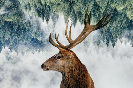 Photographic Print, , large