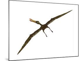 Anhanguera Was a Fish-Eating Pterosaur from the Cretaceous Era of Brazil-null-Mounted Art Print