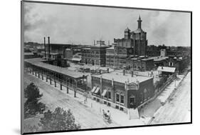 Anheuser Busch Brewery-null-Mounted Photographic Print