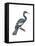 Anhinga (Anhinga Anhinga), Birds-Encyclopaedia Britannica-Framed Stretched Canvas