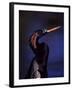 Anhinga, Snake Bird in Breeding Plumage, Everglades National Park, Florida, USA-Charles Sleicher-Framed Photographic Print