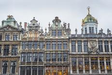 Guildhalls on Grand Place in Brussels, Belgium.-Anibal Trejo-Photographic Print