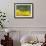 Anicia Checkerspot, Mt. Evans, Colorado, USA-Adam Jones-Framed Photographic Print displayed on a wall