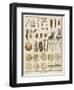 "Animacules," Microscopic Creatures as Seen Under a Microscope-Ebenezer Sibly-Framed Art Print