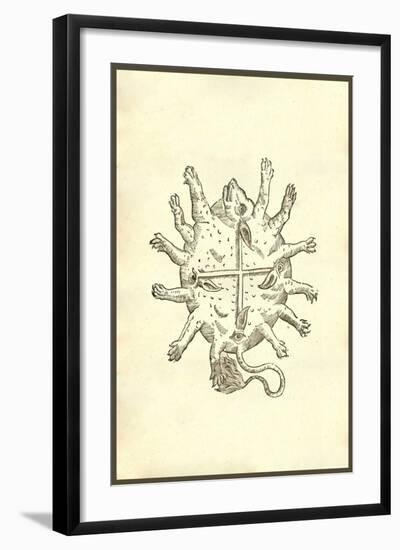 Animal Africanum Deforme-Ulisse Aldrovandi-Framed Art Print