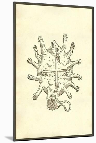 Animal Africanum Deforme-Ulisse Aldrovandi-Mounted Art Print