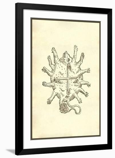Animal Africanum Deforme-Ulisse Aldrovandi-Framed Art Print