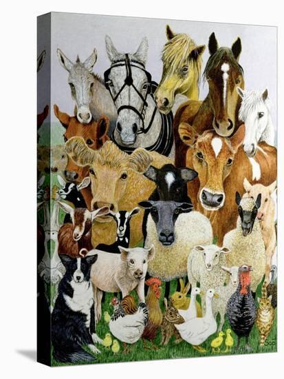Animal Allsorts-Pat Scott-Stretched Canvas