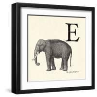 Animal Alphabet - E-The Vintage Collection-Framed Giclee Print