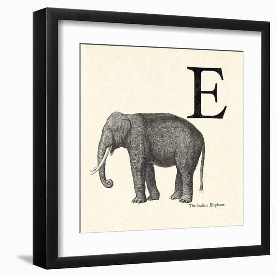 Animal Alphabet - E-The Vintage Collection-Framed Giclee Print