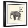 Animal Alphabet - E-The Vintage Collection-Framed Giclee Print