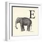 Animal Alphabet - E-The Vintage Collection-Framed Giclee Print